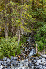 Morants Curve Banff National Park Alberta Canada