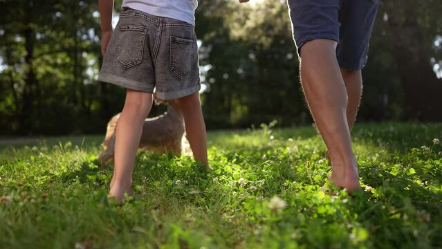 father and daughter are walking in the park. happy family childhood dream concept. dad and daughter holding hands and walk barefoot on the grass. lifestyle dog running around. bare feet close up