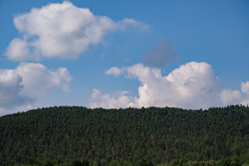 Summer landscape with beautiful clouds and forest. Sky over trees