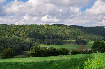 Summer landscape with beautiful clouds and forest.