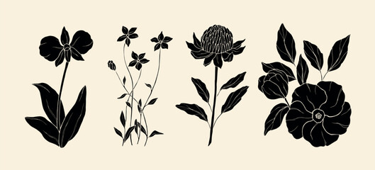 Obraz premium Flat vector Australian native flowers