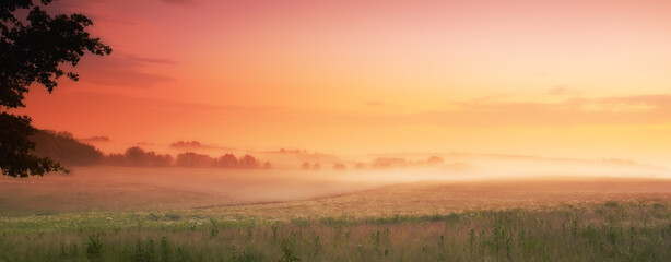 Sunlight, grass and fog in countryside, field and panorama for landscape, banner or wallpaper. Mist, dramatic and sky for sunrise, serenity and natural scenery for screen saver of peaceful grassland