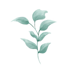 watercolor leave, branches