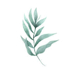 watercolor leave, branches