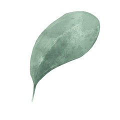 watercolor leave isolated on white background