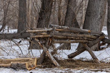 animal feeder made of wood with hay, in the forest in winter

