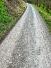 road in the woods