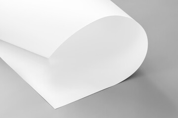 White sheet of paper as background. Black and white image.