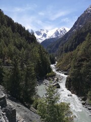 A serene river meanders through a dense, vibrant forest, enveloped in rich shades of green.