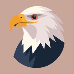 bald eagle flat vector illustration 