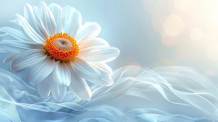 Fototapeten Beautiful white daisy flower on a light background. Close-up. © soysuwan123
