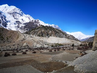 Breathtaking vista showcasing towering snow-capped peaks and agricultural field in foreground