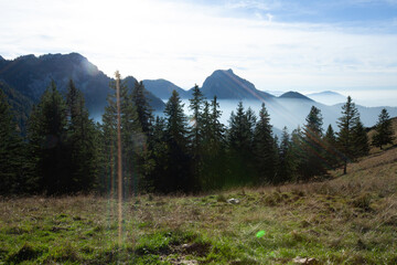 The sun casts brilliant rays on the majestic mountains and lush trees, illuminating their beauty and creating a mesmerizing scene.