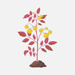 illustration of a tree with flowers