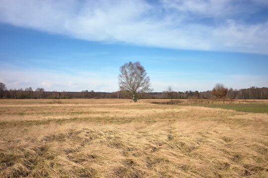 Photo of a rural landscape in northern Poland.