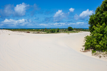 Partial view of the Mangue Seco Dunes