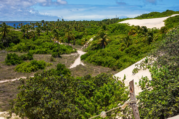 Fototapeta na wymiar Paths in the dunes of Mangue Seco village