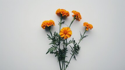 bouquet of yellow flowers on white background
