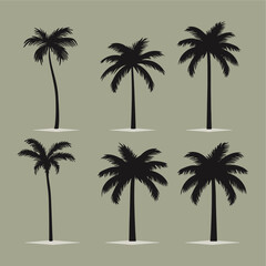 palm tree silhouette set flat vector illustration