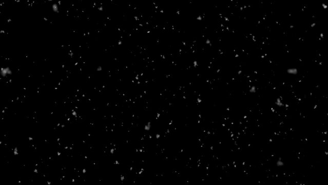 Isolated snow falling on black background. Motion graphic.