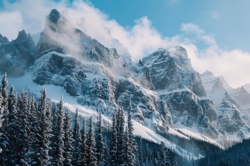 Temperate Boreal forest, taiga, winter ,snow forest on the mountain scene of hill, Pine forest, fog, layers of hills, biome taiga landscape of Featured plants ,Fir, Spruce, hemlock, latch,Wide angle