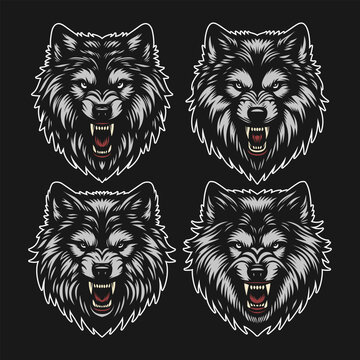 Vector set of a angry wolf head in black background