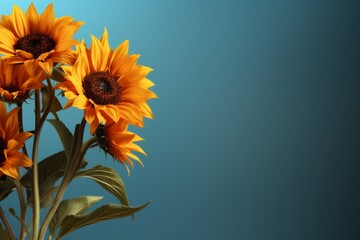 Decorated sunflowers to celebrate ukraines independence day on a vibrant blue background