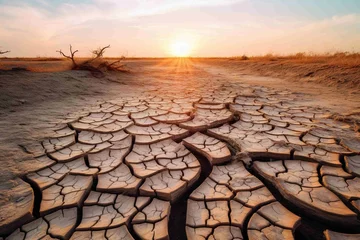 Outdoor kussens Cracked mud in a dried-up riverbed, emphasizing the drought effect © Dan