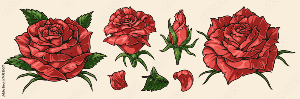 Wall mural roses colorful set vintage emblems