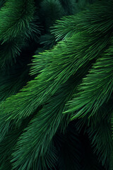 Fototapeta na wymiar fir-tree green branches close сreated with Generative Ai