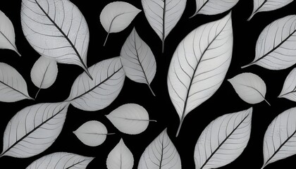 black and white pattern