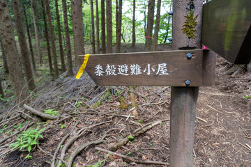 Trail between Yakeyama and Hirugatake, Tanzawa area