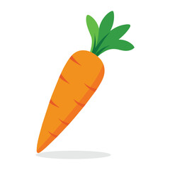 Carrot flat vector illustration on white background.