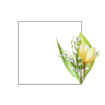 Watercolor frame with bouquet of yellow and white blooming crocus and lily of the valley flowers isolated on white background. Spring and easter botanical hand painted saffron illustration. For de
