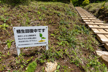 Trail between Yakeyama and Hirugatake, Tanzawa area