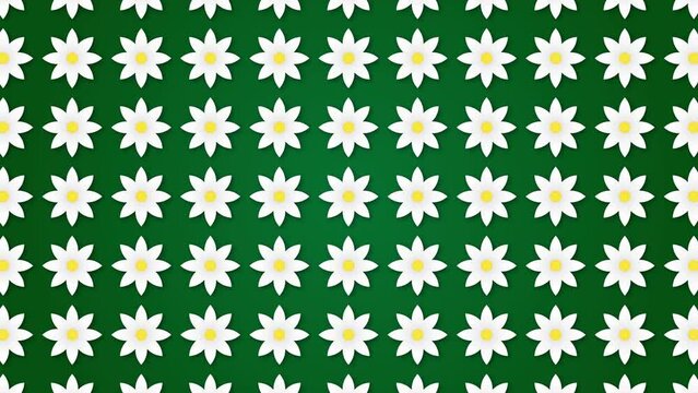 Pattern of white daisies on a green background