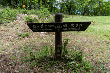 Trail between Yakeyama and Hirugatake, Tanzawa area