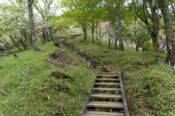 Trail between Yakeyama and Hirugatake, Tanzawa area