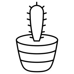 cactus plant in pot