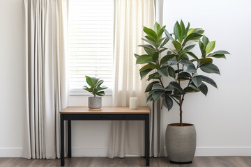 Modern Interior with Plants and Decor rubber plant in vase on table in living room. Interior design