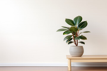 Indoor plant decor with vase on wooden table in room interior