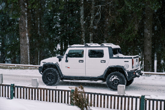 White Hummer H2 pickup truck drives under snowfall along a snow-covered road along a coniferous forest. Side view
