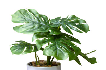 plastic plant in a pot, png file