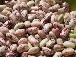 crimson beans legumes food background - 749402659