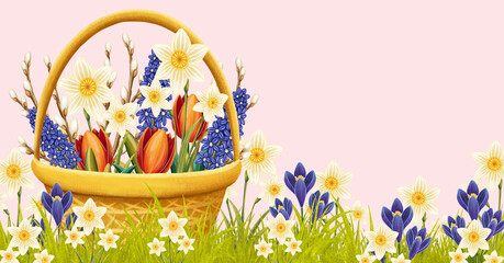 Horizontal illustration, Easter basket with flowers on grass, with Easter eggs,  on pink background, space for text, banner, field with flowers