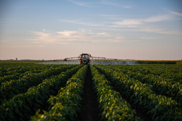 Tractor spraying pesticides on vegetable field with sprayer