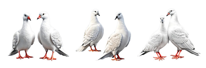 Photorealistic image of  couples of white doves isolated on transparency background AI Generative
