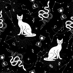 Seamless horoscope pattern with white cats, stars, snakes and constellations. Esotericism and magic.