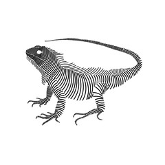 Simple line art illustration of an iguana 3