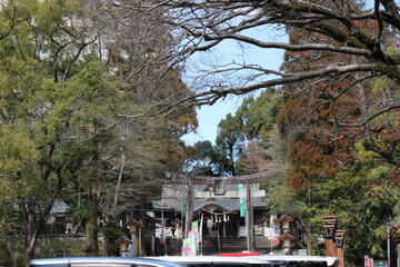木に囲まれた神社